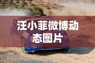 汪小菲微博动态图片  第1张