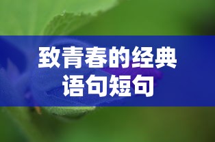 致青春的经典语句短句  第1张