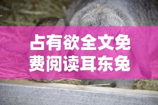 占有欲全文免费阅读耳东兔子  第1张
