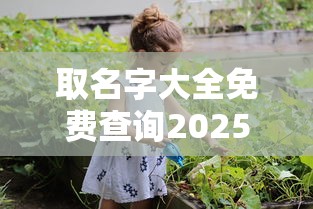 取名字大全免费查询2025男孩子  第1张