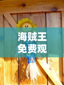 海贼王免费观看全集动漫下载中文版  第1张
