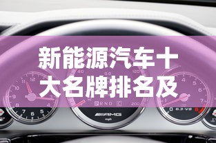 新能源汽车十大名牌排名及价格  第1张