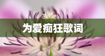 为爱痴狂歌词  第1张