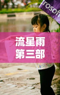 流星雨第三部雨荨怀孕回国了  第1张