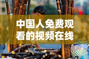 中国人免费观看的视频在线观看  第1张