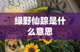 绿野仙踪是什么意思  第1张
