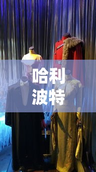 哈利波特电影18免费观看  第1张