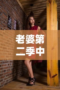 老婆第二季中文字幕下载  第1张