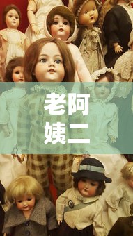 老阿姨二婶免费观看完整版电视剧  第1张