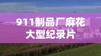 911制品厂麻花大型纪录片  第1张