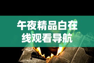 午夜精品白在线观看导航  第1张