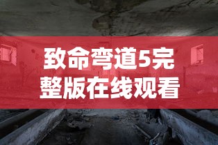 致命弯道5完整版在线观看视频  第1张