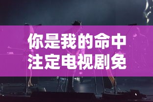 你是我的命中注定电视剧免费观看完整版  第1张