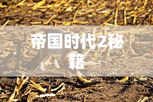 帝国时代2秘籍  第1张