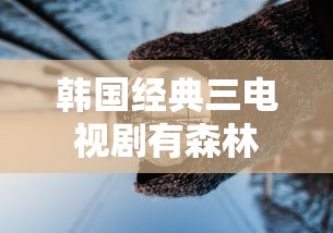 韩国经典三电视剧有森林  第1张