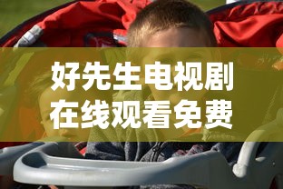 好先生电视剧在线观看免费完整版  第1张