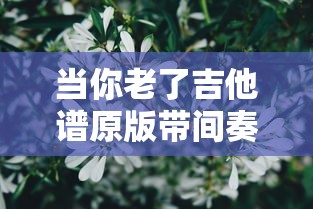 当你老了吉他谱原版带间奏改编  第1张