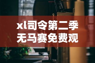 xl司令第二季无马赛免费观看  第1张