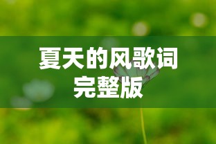 夏天的风歌词完整版  第1张