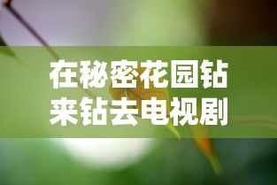 在秘密花园钻来钻去电视剧  第1张