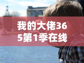 我的大佬365第1季在线观看  第1张