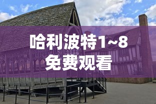 哈利波特1~8免费观看  第1张