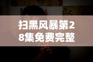 扫黑风暴第28集免费完整版在线观看  第1张