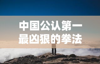 中国公认第一最凶狠的拳法视频  第1张