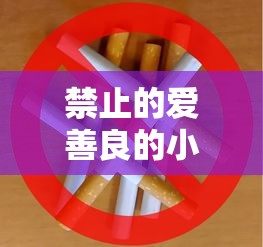 禁止的爱善良的小子2019  第1张