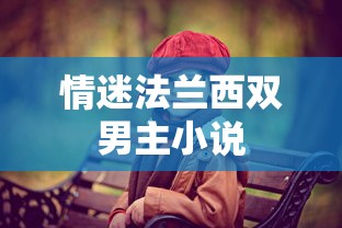 情迷法兰西双男主小说  第1张
