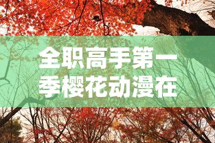 全职高手第一季樱花动漫在线观看  第1张