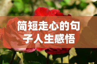 简短走心的句子人生感悟  第1张