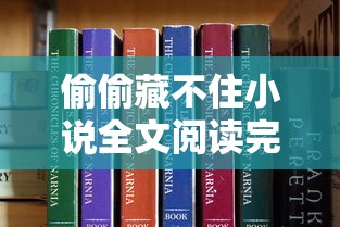 偷偷藏不住小说全文阅读完整版  第1张