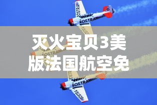 灭火宝贝3美版法国航空免费观看  第1张