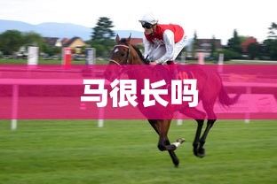 马很长吗  第1张