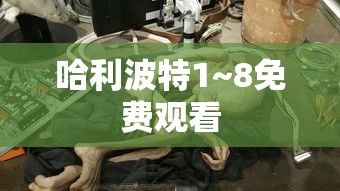 真爱禁区免费观看完整视频高清  第1张