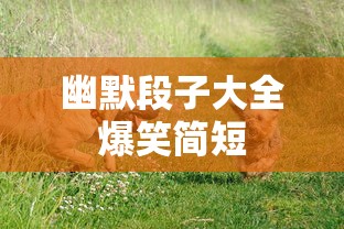 幽默段子大全爆笑简短  第1张
