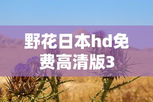 野花日本hd免费高清版3  第1张