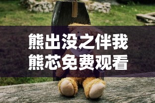熊出没之伴我熊芯免费观看正片可投屏  第1张