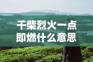 干柴烈火一点即燃什么意思啊  第1张