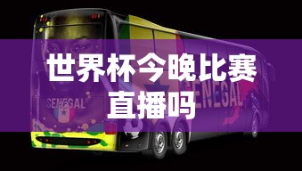 世界杯今晚比赛直播吗  第1张