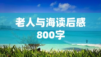 老人与海读后感800字  第1张