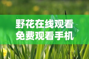 野花在线观看免费观看手机去  第1张