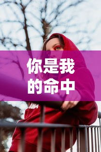 你是我的命中注定36集全免费观看 在线  第1张