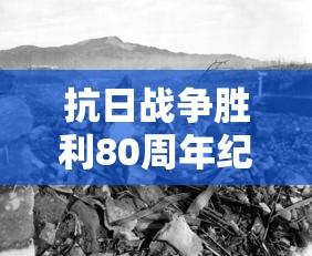 抗日战争胜利80周年纪念日  第1张
