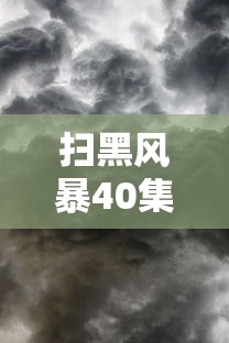 扫黑风暴40集原版网盘  第1张