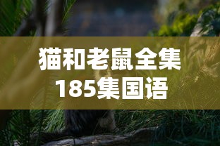 猫和老鼠全集185集国语  第1张