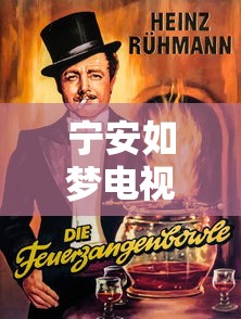 宁安如梦电视剧免费西瓜影视  第1张