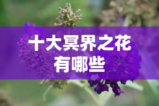 十大冥界之花有哪些  第1张