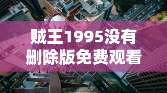 贼王1995没有删除版免费观看  第1张